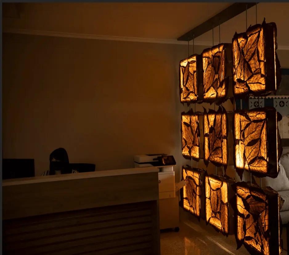 Gallery 6